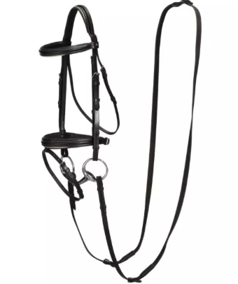 Uzdečky, udidla a otěže