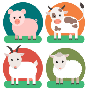 Pro ovce a kozy, prasata a další zvířata