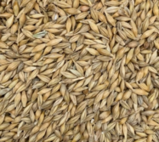 Ostatní krmné komponenty