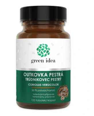 Green idea Outkovka pestrá - tobolky
