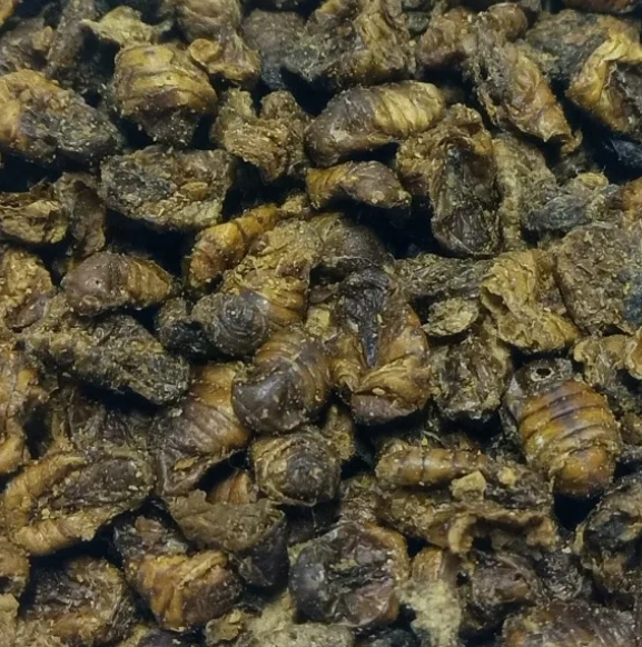 Sušený bourec morušový (kukly) 1kg