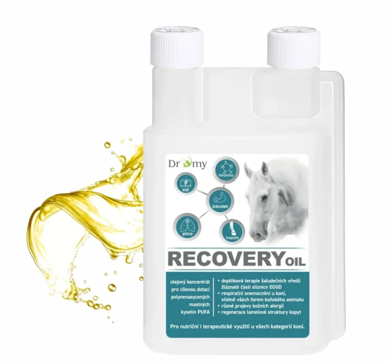 Dromy Recovery oil 1 l