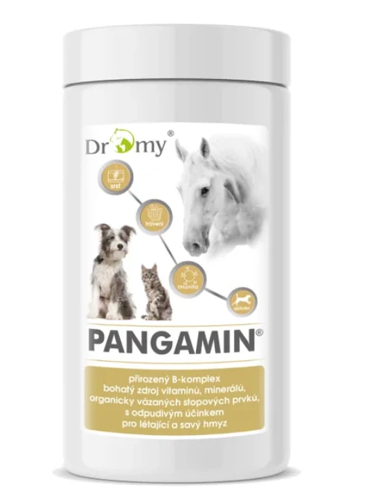 Dromy Pangamin 2000 tablet