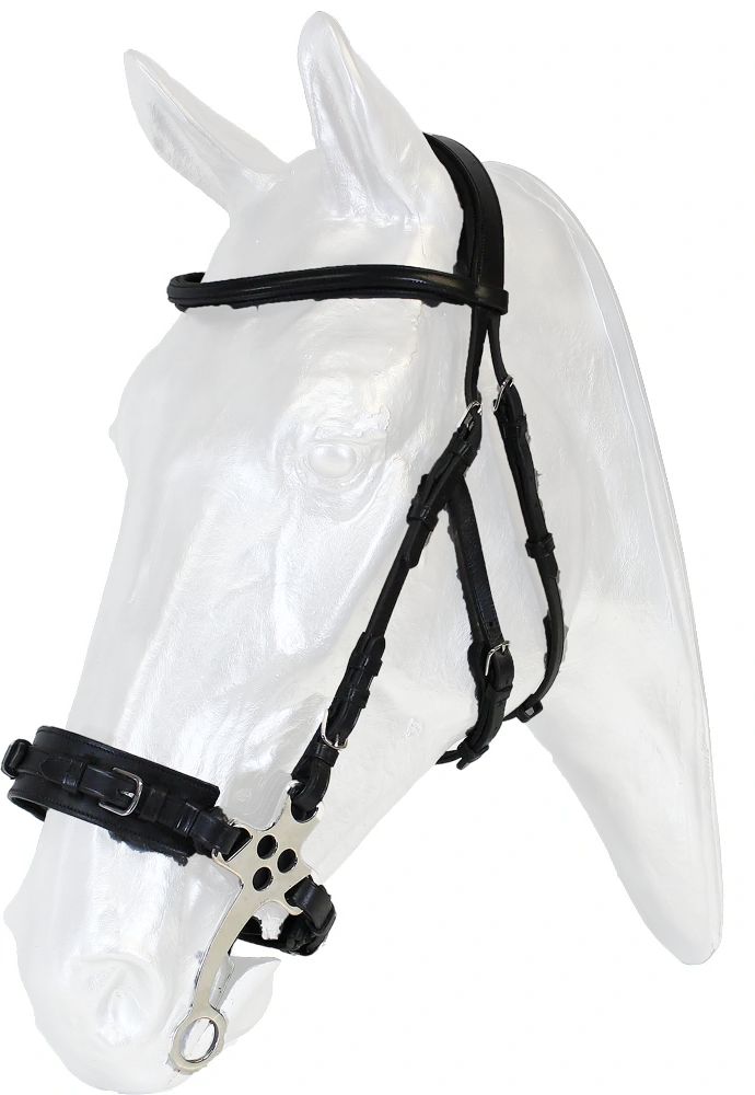 10276 UZDEČKA S HACKAMORE Kentaur, full