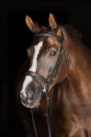 Kožená uzdečka Kerbl, černá