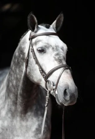 Kožená uzdečka Covalliero Standard, hnědá