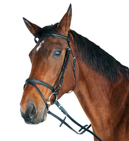 Kožená uzdečka na chladnokrevníka, černá, vel. X-Full