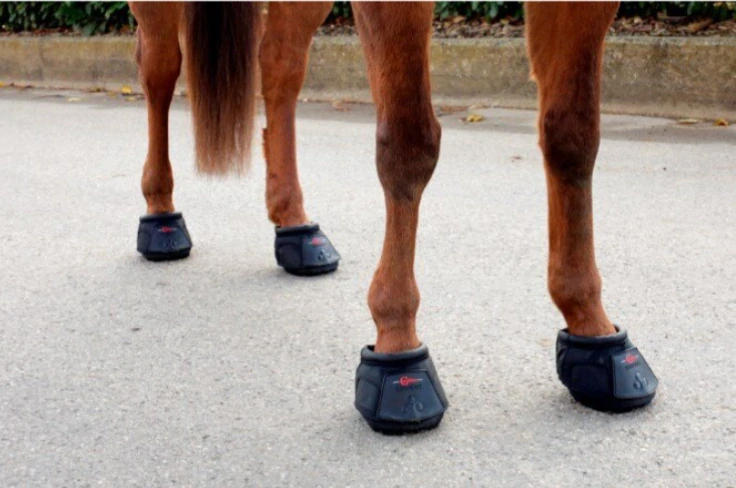 Bota na kopyta Covalliero