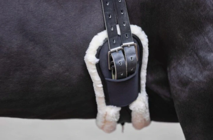 Drezurní podbřišník Covalliero s beránkem