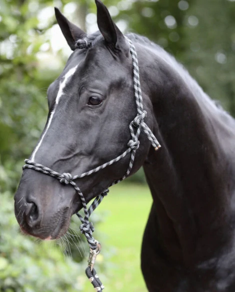 Provazová ohlávka Knott