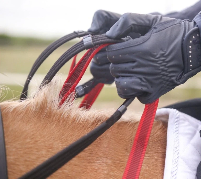 Náprsník Waldhausen Secutrust s bezpečnostními otěžemi