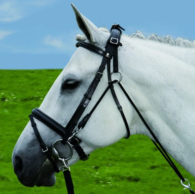 Chambon bez upnutí k podbřišníku