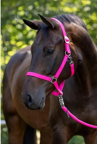 Nylonová ohlávka Covalliero Hippo-růžová