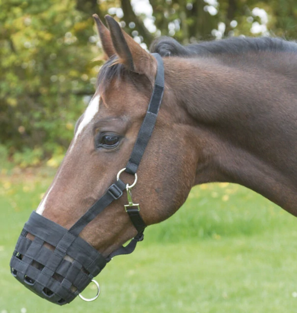 Náhubek pro koně Covalliero nylonový s ohlávkou