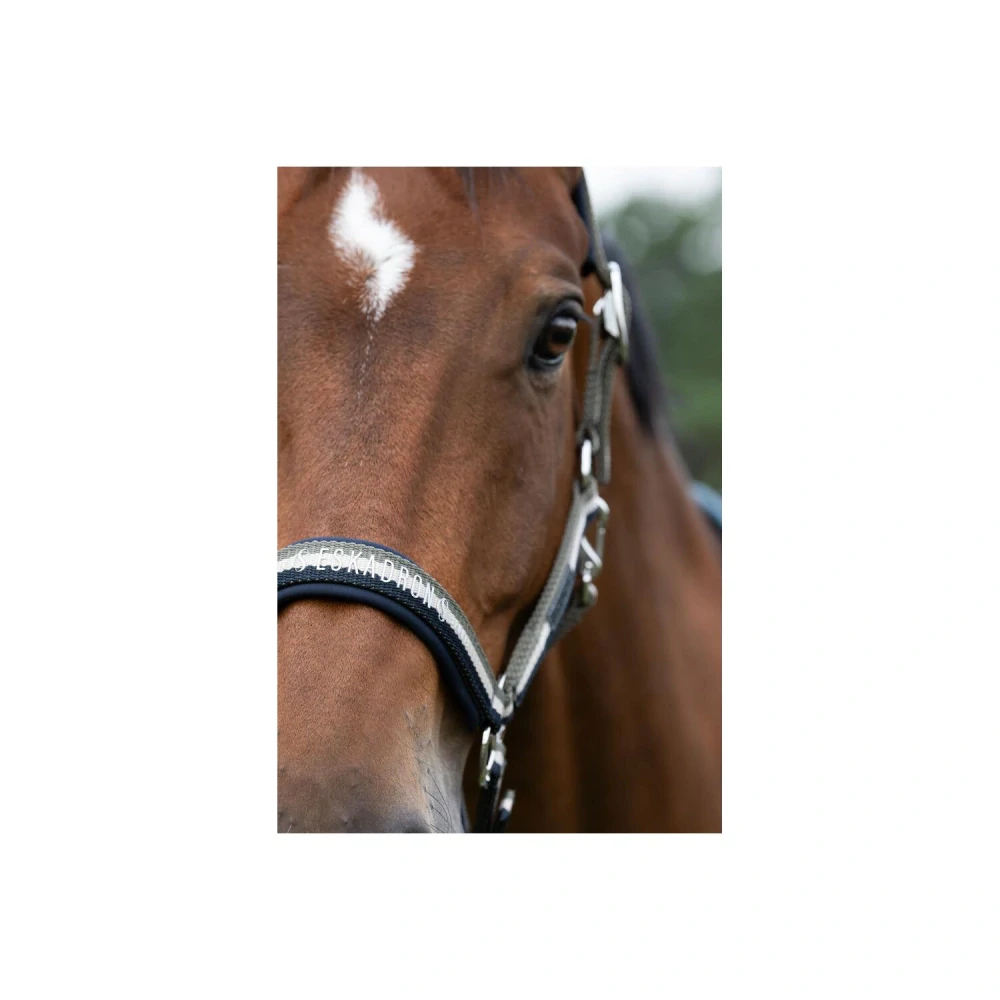 Ohlávka Eskadron Sports SS 2025, modro-béžovo-olivová