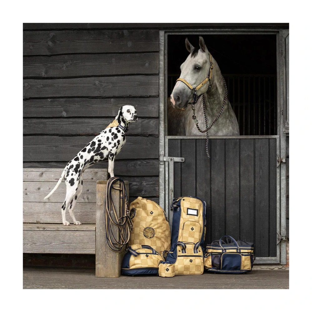 Lonž QHP SS 2025 Sandy Beach, modro-zlatá, 8m