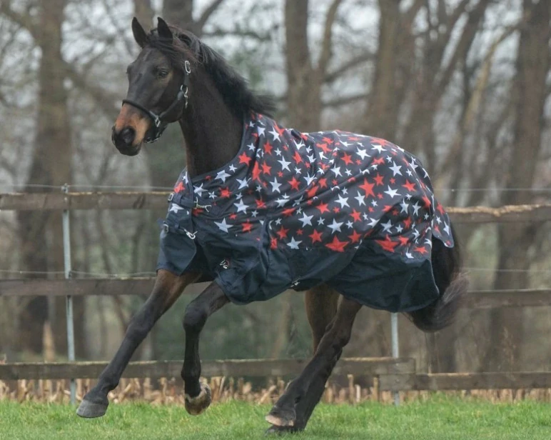 Zimní deka s vysokým krkem -Norwich- 600D, zateplení 100g, star