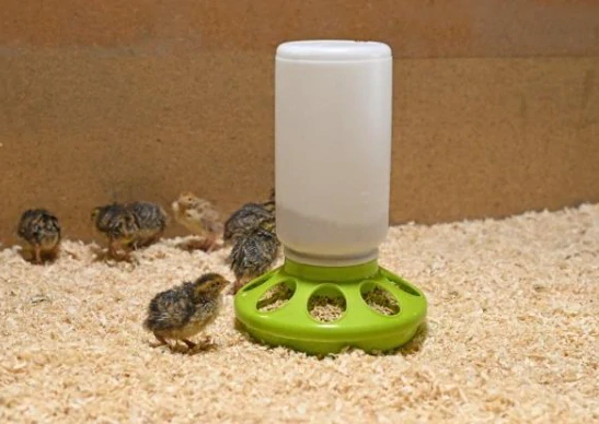 Krmítko pro drůbež, kuřata a křepelky, 1 l