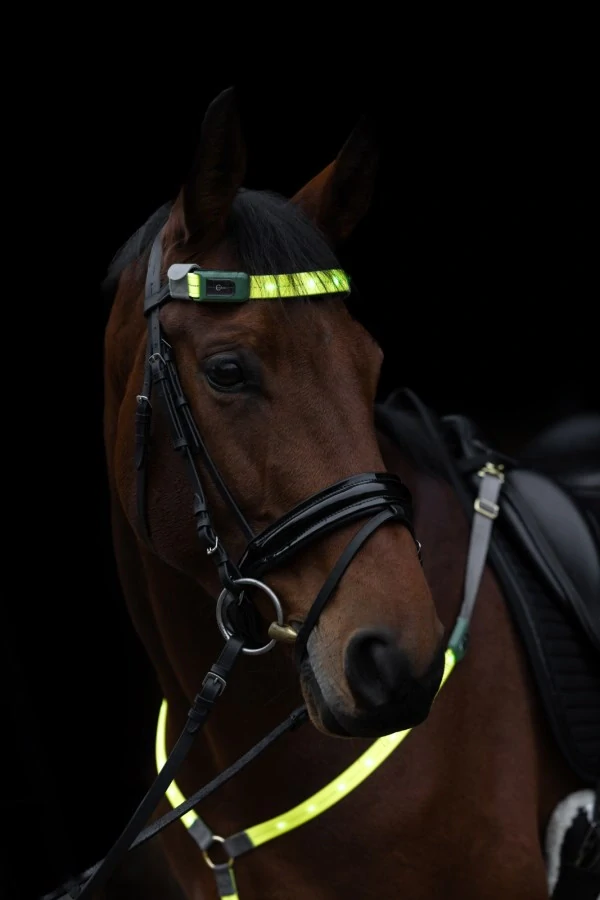 Čelenka na koně Covalliero LED, reflexní