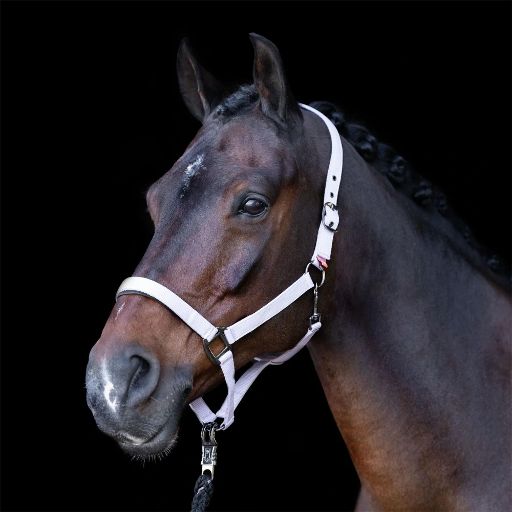 Ohlávka IRH Classic Sport, fialková