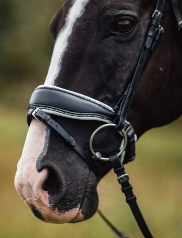Kožená uzdečka Crystal Dressage