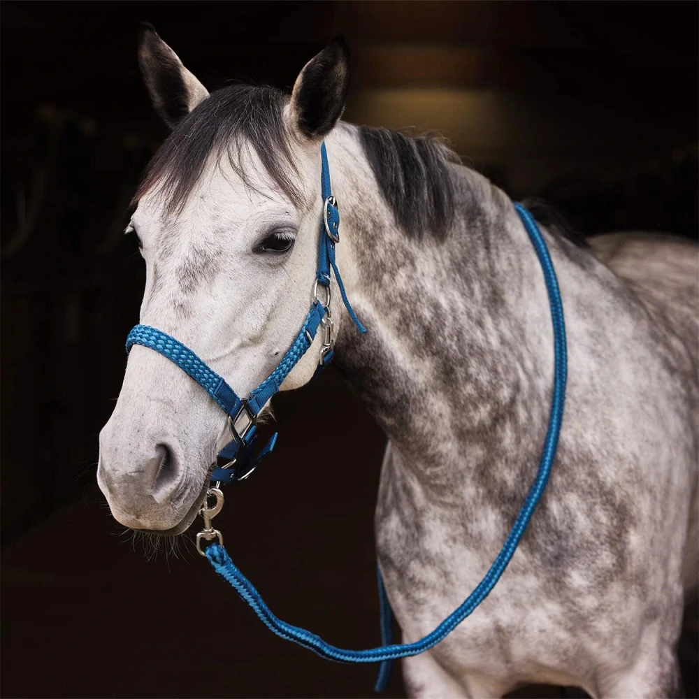 Ohlávkový set Horze Chicago, modrý