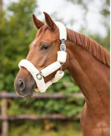 Nylonová ohlávka s beránkem QHP Alaska