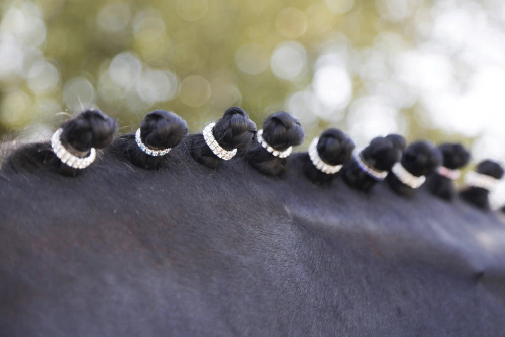 Gumičky do hřívy s barevnými krystaly 20 ks/bal