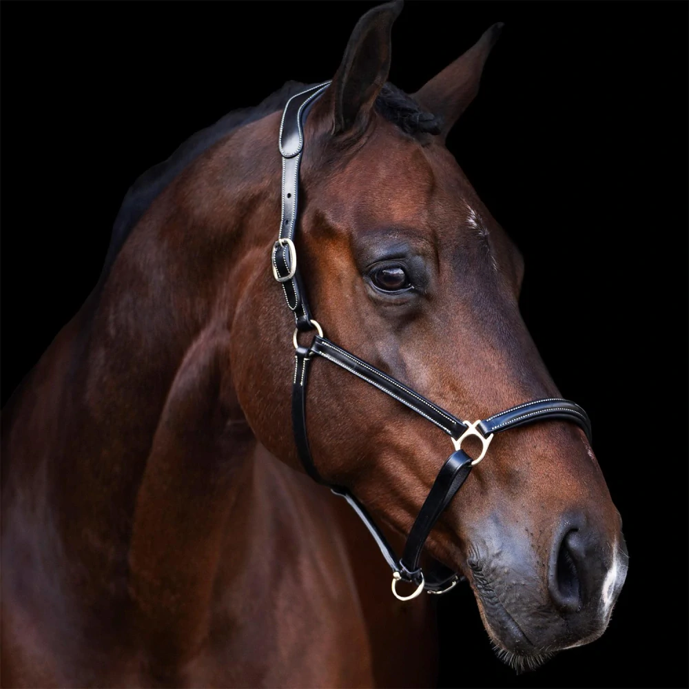 Kožená ohlávka HV Polo Legacy - černá, vel. Full