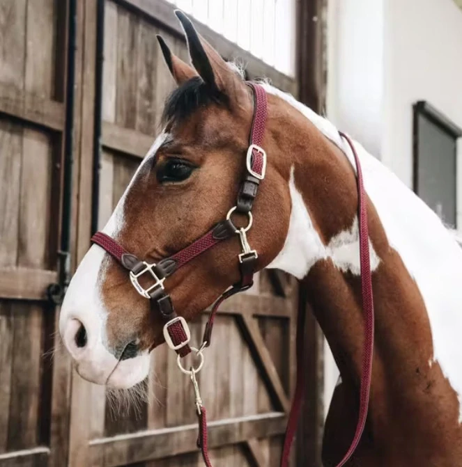 Ohlávka pro koně Kentucky Nylon - vínová, vel. Full