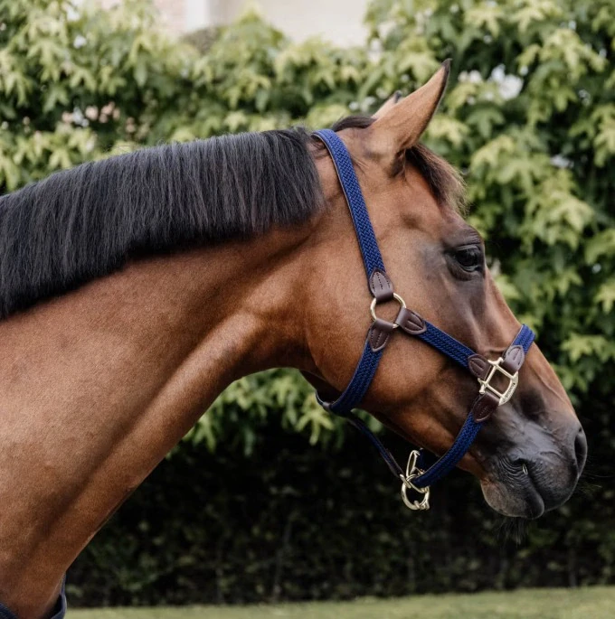 Ohlávka pro koně Kentucky Nylon - tmavě modrá, vel. Full