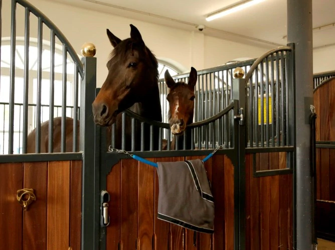 Držák na deky a dečky, na karabiny, přenosný