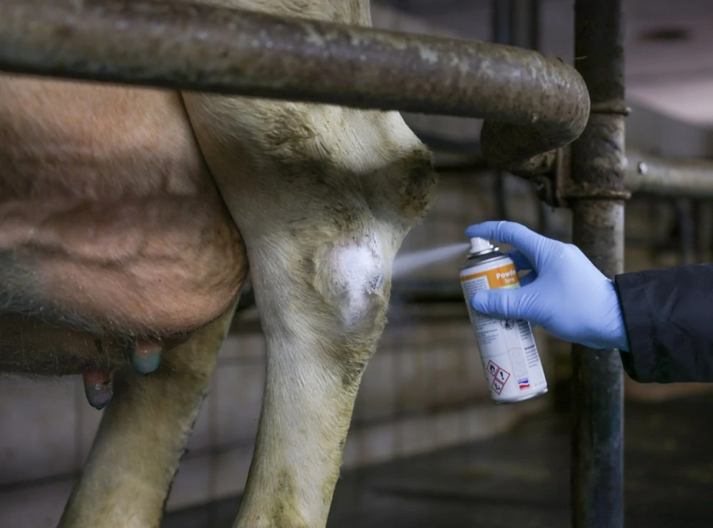 Sprej Powder Spray, 200 ml