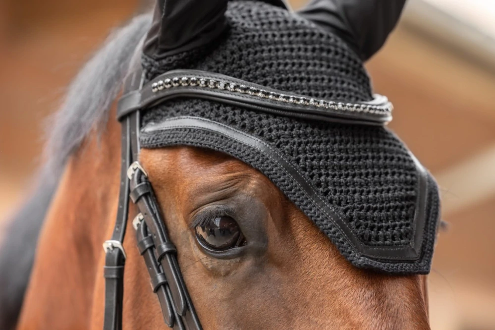 Čabraka pro koně Covalliero Linea, černá