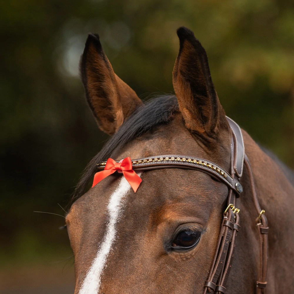 Stuha QHP Warning, červená