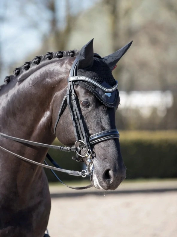 Čabraka pro koně LeMieux Loire, černá, Full
