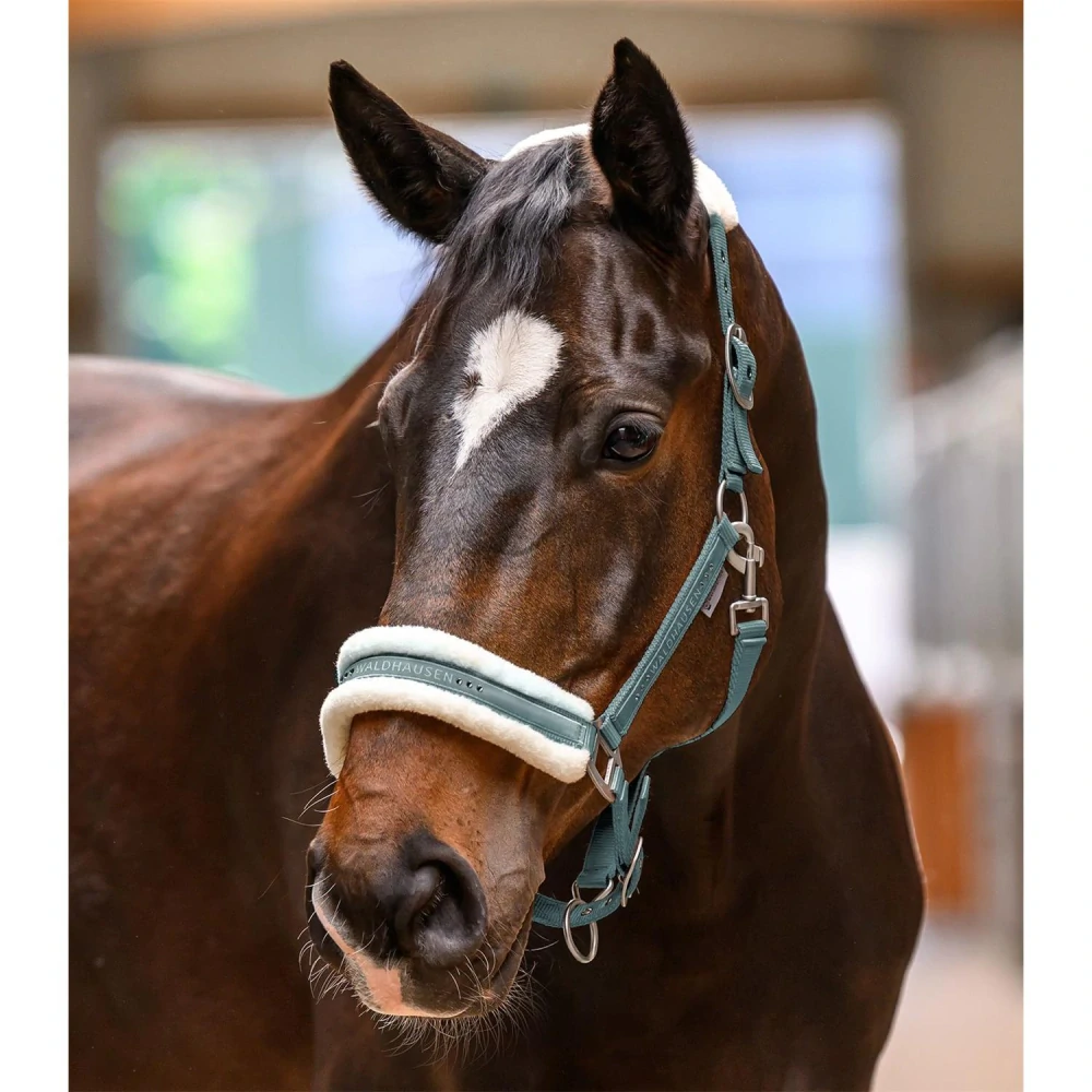 Ohlávka s beránkem Waldhausen Elegant, SS 26, šedá