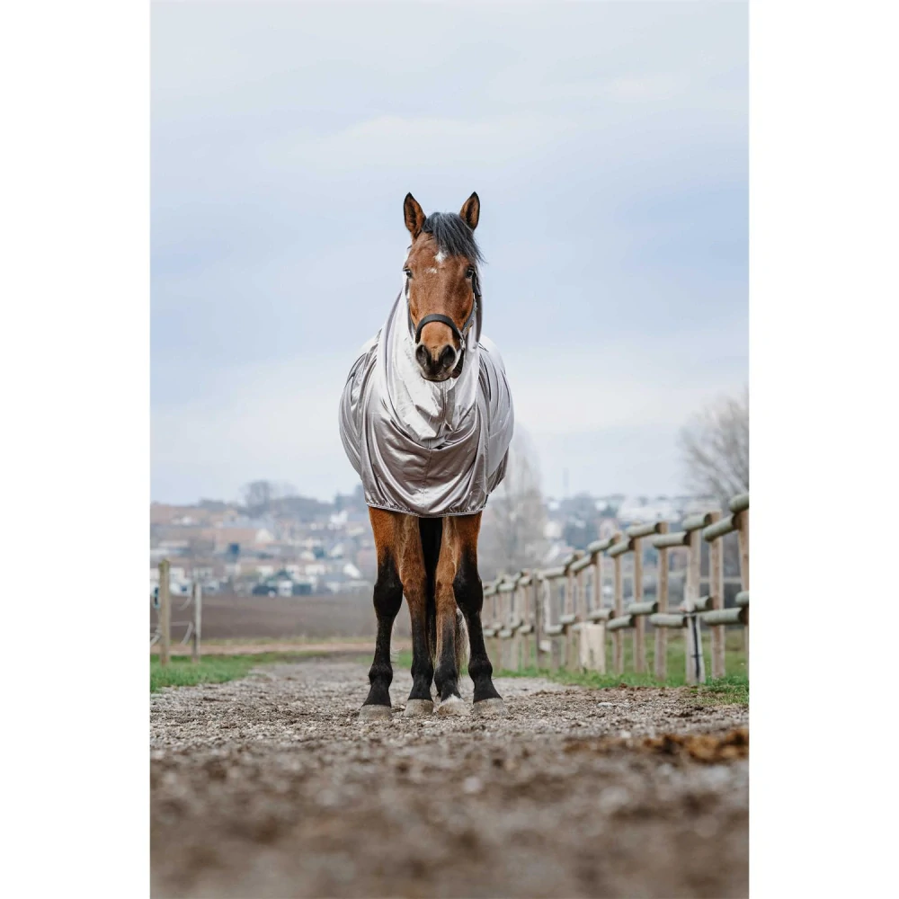 Deka ekzemová RW s krkem, SS 26, šedá