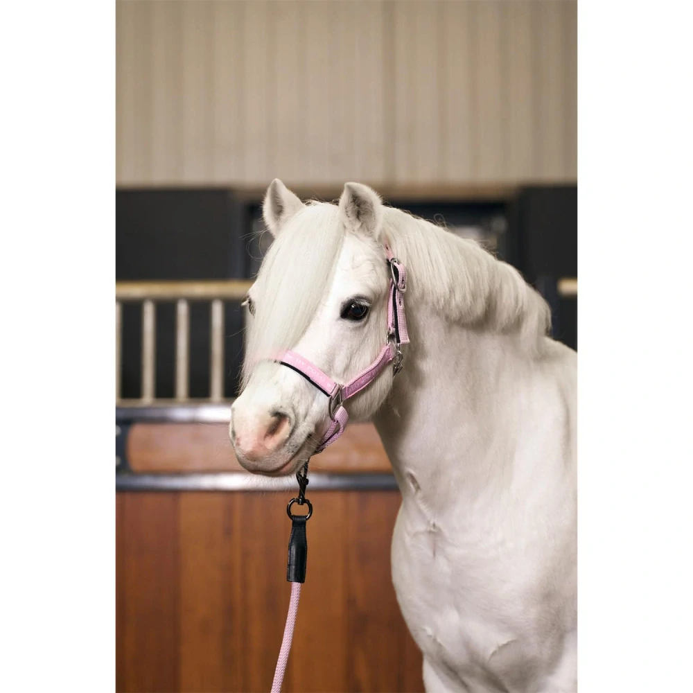 Hříběcí nylonová ohlávka HVP Nena, SS 26 - růžová