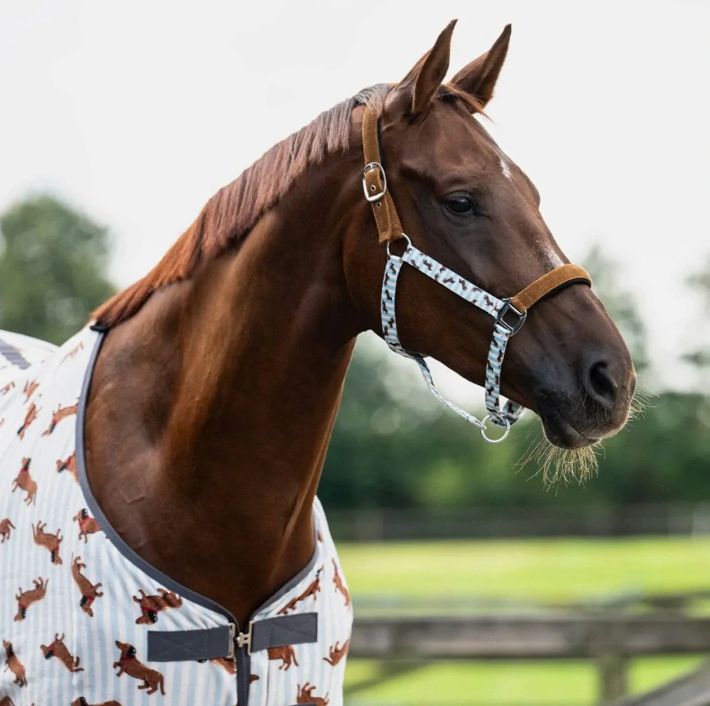Ohlávkový set QHP Stable Buddy, SS 26, s jezevčíky - vel. Full