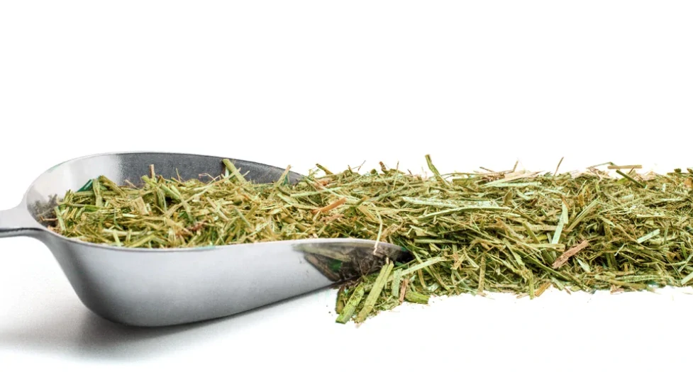 Luzerne Mix řezanka 18 kg (Höveler)