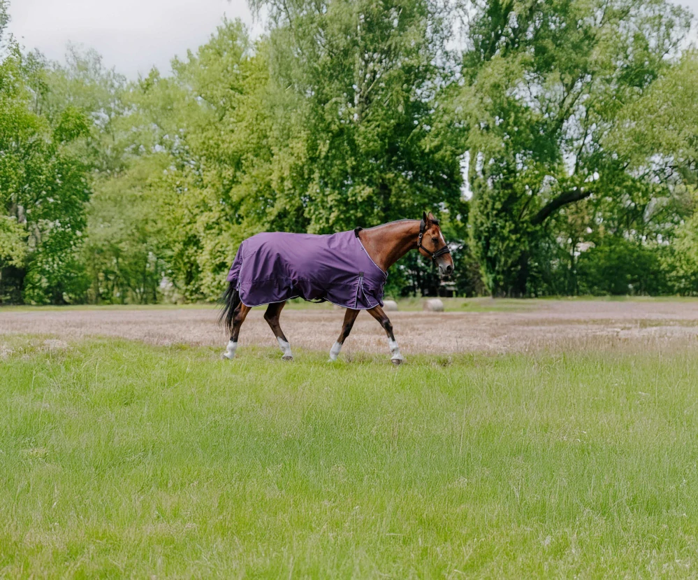 Deka výběhová Equitème Tyrex Aisance 600D, 150 g