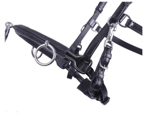 Lonžovací kožený obnosek QHP, černý