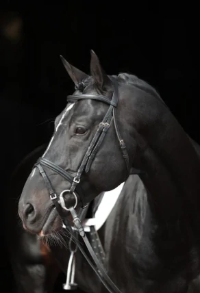Kožená uzdečka Kerbl, černá