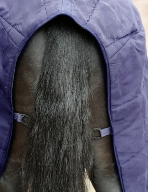 Zimní stájová deka pro koně RugBe 2v1 tmavě modrá