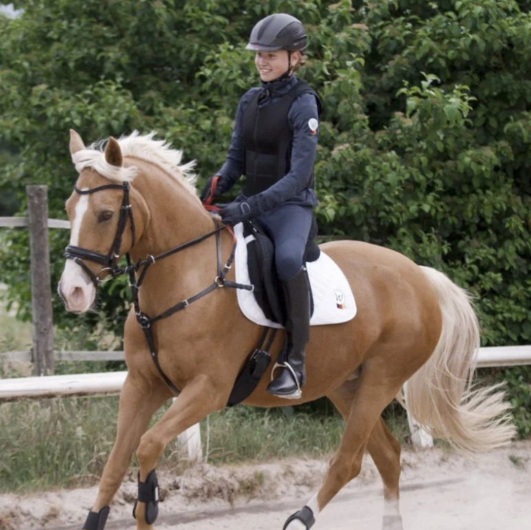 Náprsník Waldhausen Secutrust s bezpečnostními otěžemi