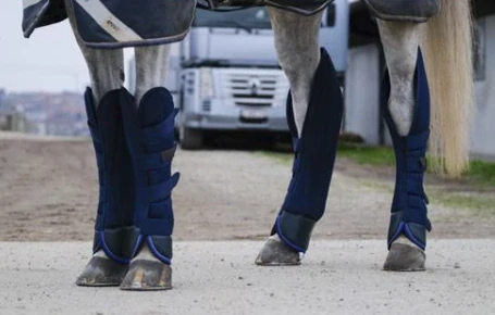 Transportní chrániče Equithéme Classic, modré