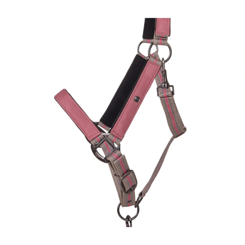 Ohlávkový set QHP S/S 2025 Flamingo, růžový