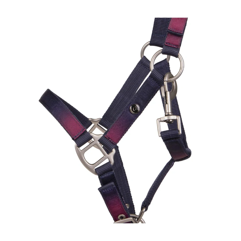 Ohlávkový set QHP Jaily S/S 2025, fialovo-modrý