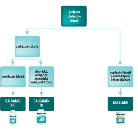 Audevard BALSAMIC CONTROL 1 kg Na dušnost a suchý chronický kašel
